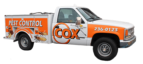 Cox Termite & Pest Control